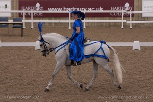 Lusitano Breed Society of Great Britain Show - Hartpury College - 27th June 2009